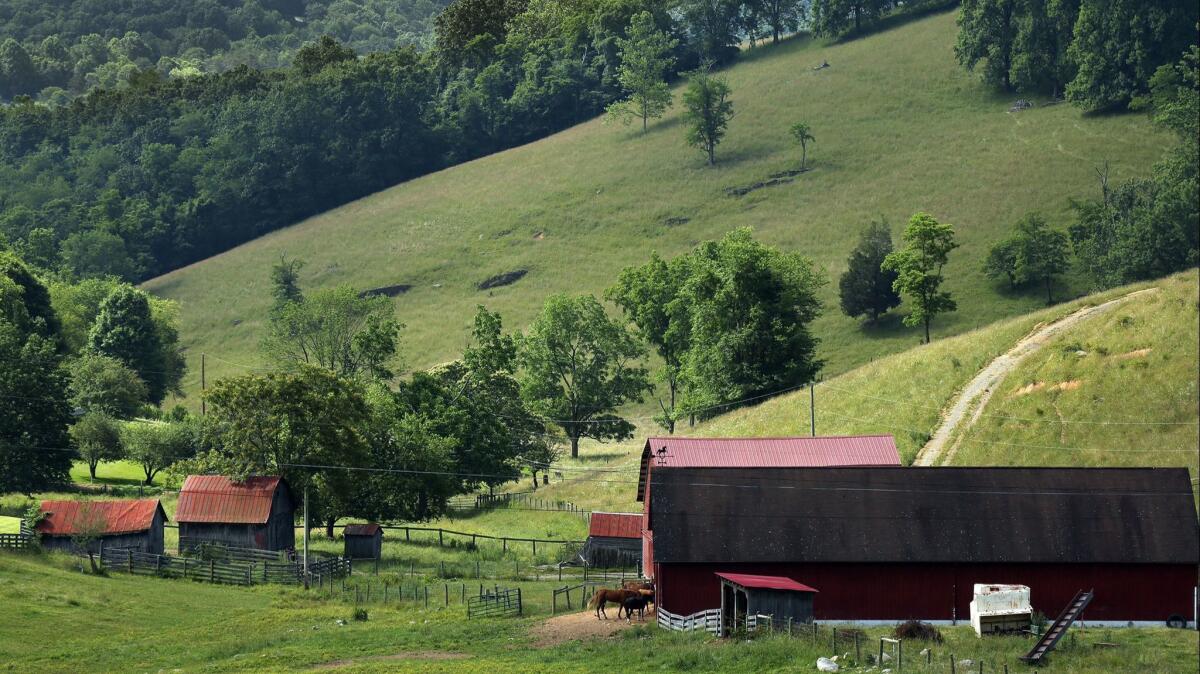 Newport, Virginia in Giles County, which shares a border with West Virginia