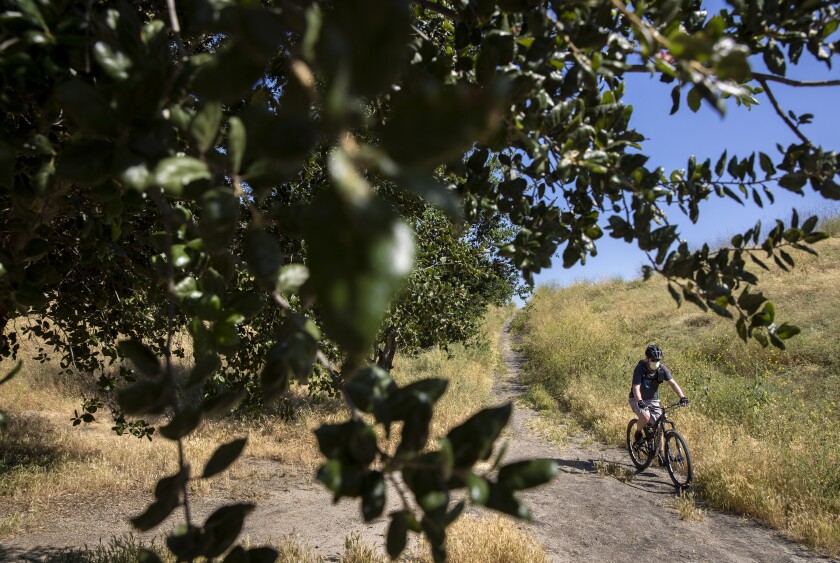 A mountain biker wearing a mask at Upper Las Virgenes Canyon Open Space Preserve cruises newly reopened trails Saturday in Woodland Hills.