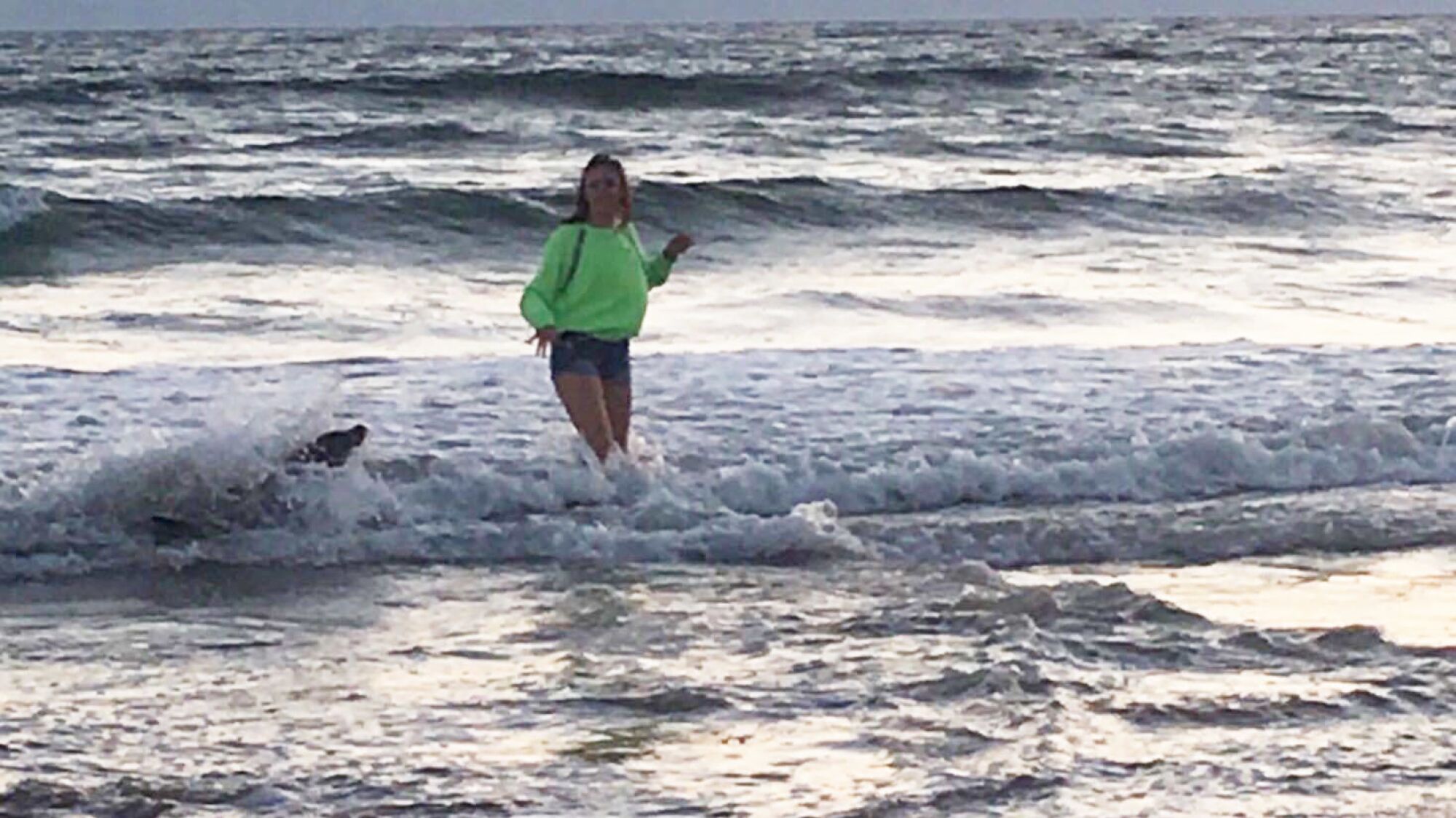 Megan Pagnini, just before she was bitten by a sea lion, left, in the surf at Pismo Beach.