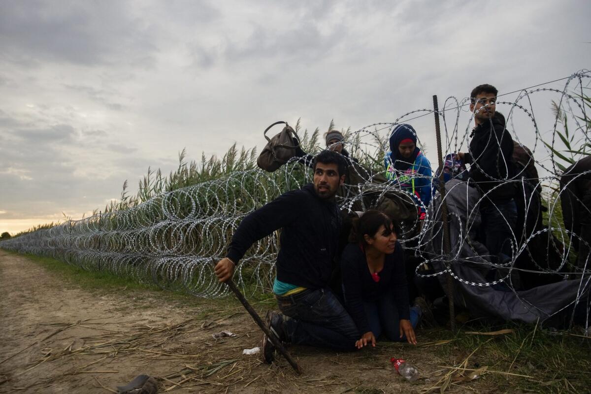Migrants make their way through a razor-wire fence at the border between Hungary and Serbia near Roszke on Aug. 26.