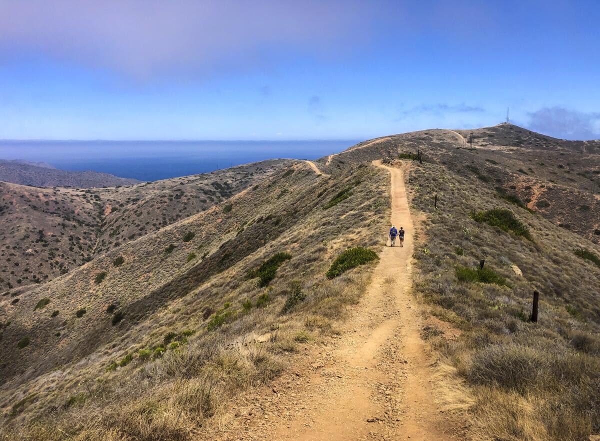 Two hikers walking on Catalina Island 