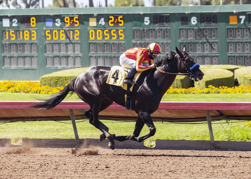 Horse racing newsletter: Uncle Chuck moves into Derby picture - Los Angeles Times Horse racing newsletter: Uncle Chuck moves into Derby picture - Los Angeles Times