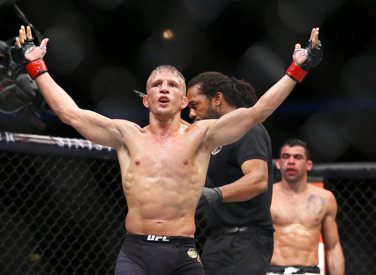 T.J. Dillashaw celebrates after referee Herb Dean stopped the UFC bantamweight championship fight against Renan Barao in the fourth round because of a technical knockout.