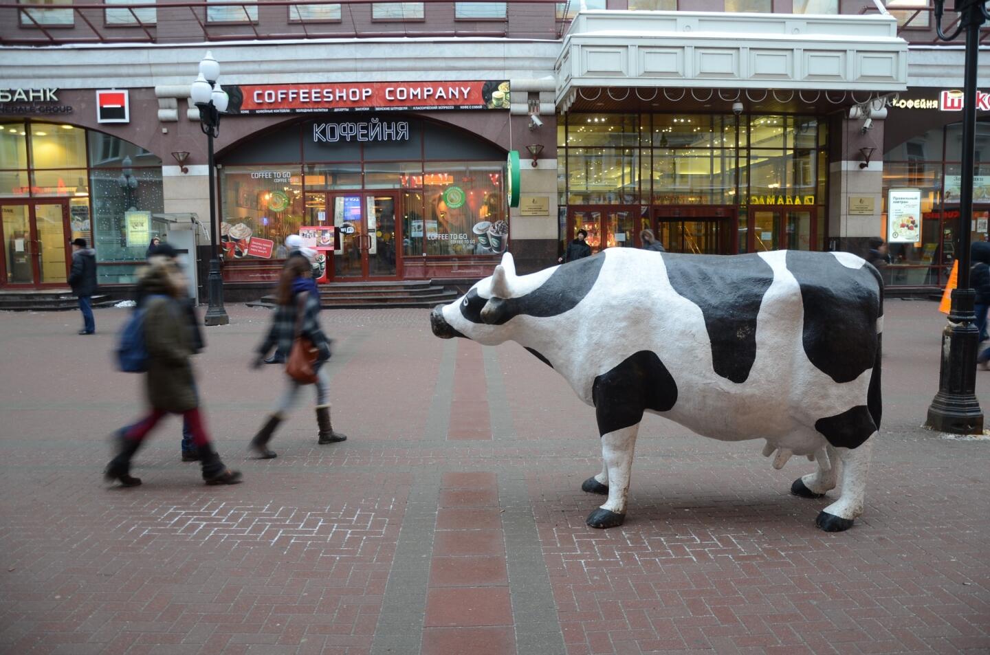 Russia: the livestock stops here