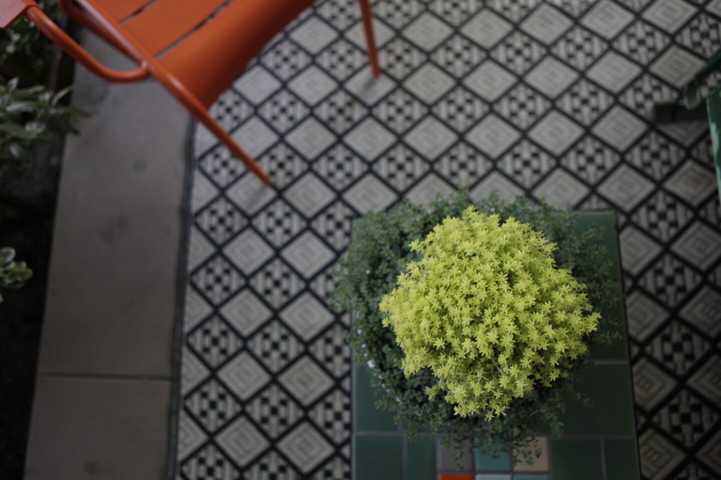 The black-and-white recycled plastic porch rug is reversible, so when the top faded, Gutierrez simply flipped it over. Sedum succulents in two hues grow in a wedding cake planter from Gutierrez's Atwater Village store, Potted.