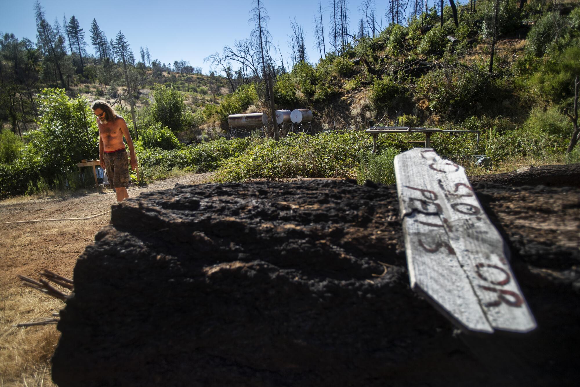 Mike Nimz, shirtless, walks across his property. A sign on a rock in the foreground says "Go slow for pets."