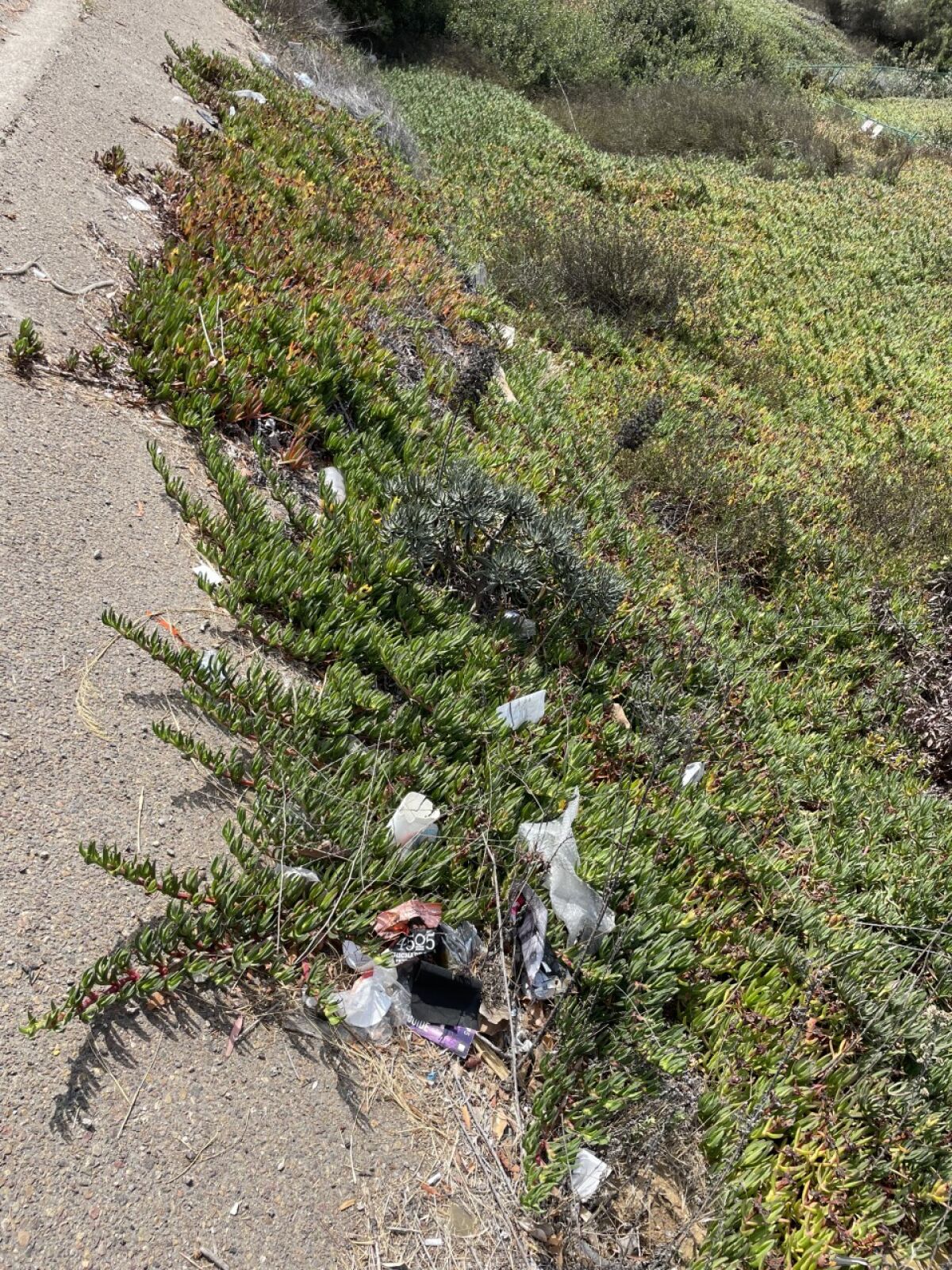 Resident Rayan Hourani calls the trash along La Jolla Parkway "an eyesore and a shame.”