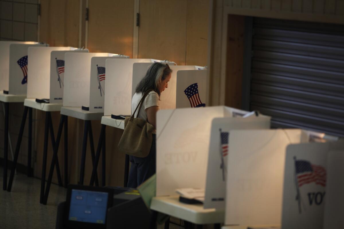 Annette Kapple, 50, casts her vote in the June 2014 election.