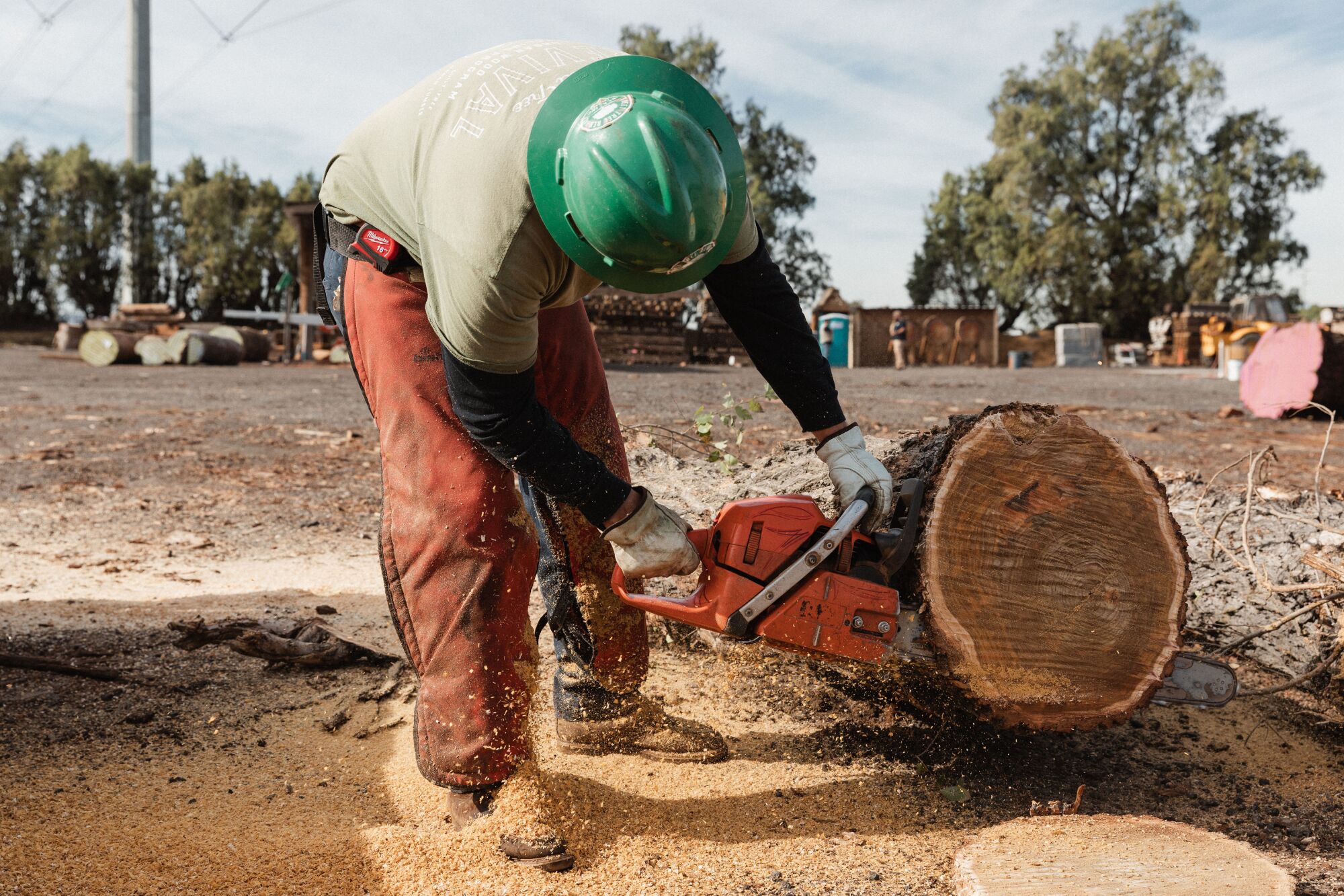 Taylor Guitars has partnered with West Coast Arborists to turn shamel ash into high-end guitars.