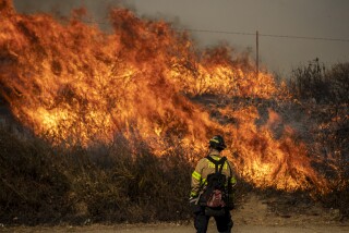THOUSAND OAKS, CALIF. -- WEDNESDAY, OCTOBER 30, 2019: An Albuquerque firefighter watches as backfires burn in heavy brush along Madera Rd. as firefighters try to keep the Easy fire from crossing the road into Thousand Oaks, Calif., on Oct. 30, 2019. (Brian van der Brug / Los Angeles Times)