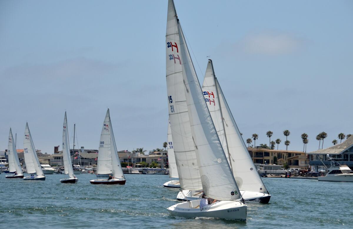 Harbor 20 sailboats set off from the starting line Sunday during the Flight of Newport race.