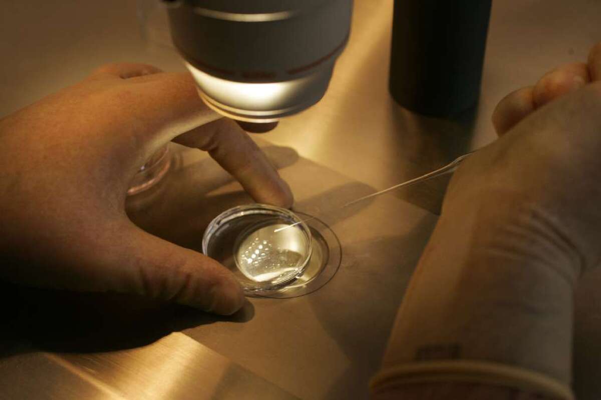 An embryologist works with a donor egg at a fertility clinic.