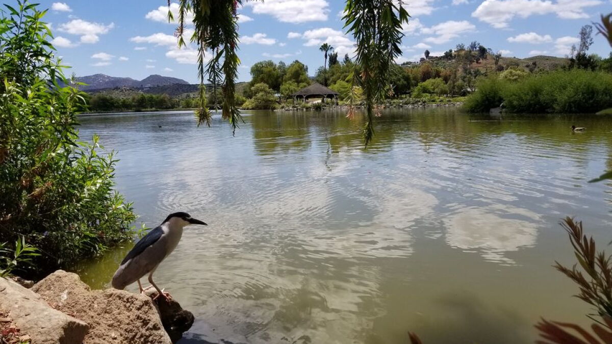 Lakeside getting some long-needed upgrades - Vimarsana News