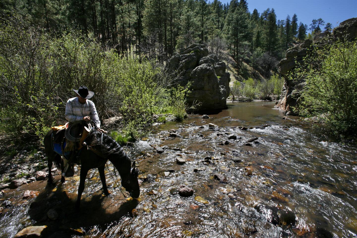 Gila Wilderness