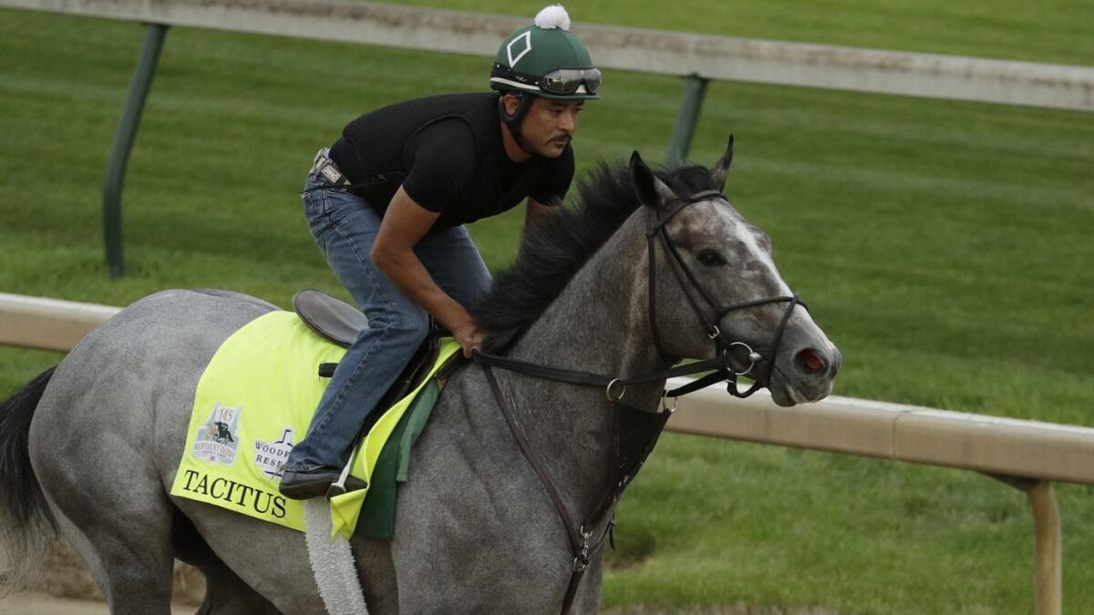 Tacitus takes part in a workout run at Churchill Downs on May 1.