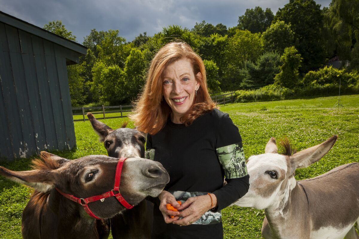 Susan Orlean's 'On Animals,' collected stories on human bond - Los Angeles  Times