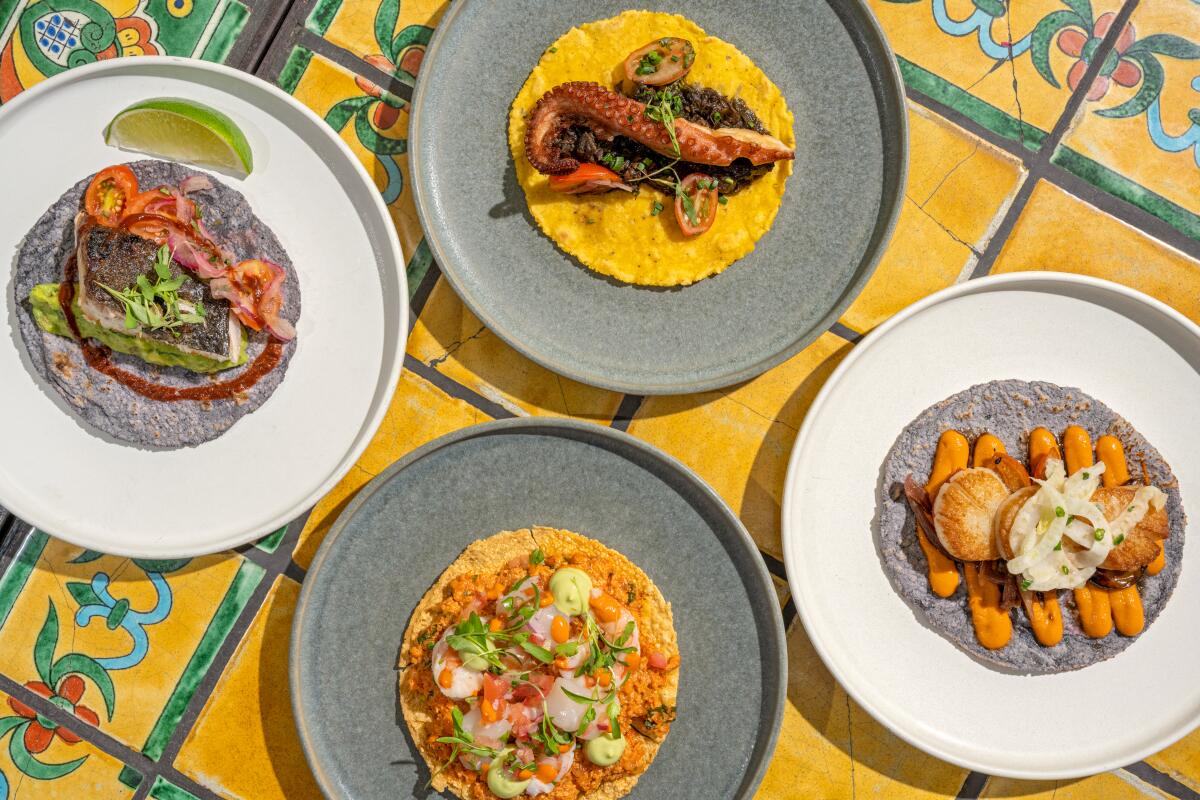 An overhead photo of three seafood tacos and a tostada from Holbox on yellow tile.