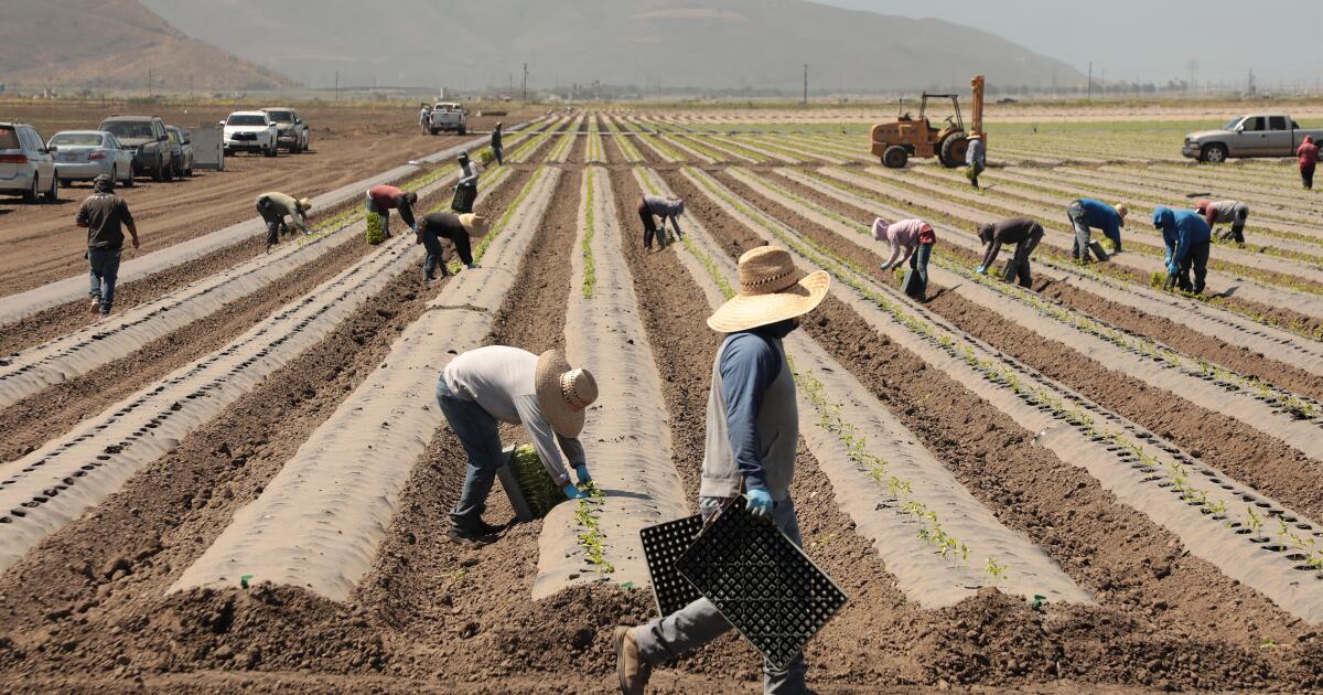 Column: Do you believe that exposed farmers can be replaced by Medicaid recipients? Column: Do you believe that exposed farmers can be replaced by Medicaid recipients?