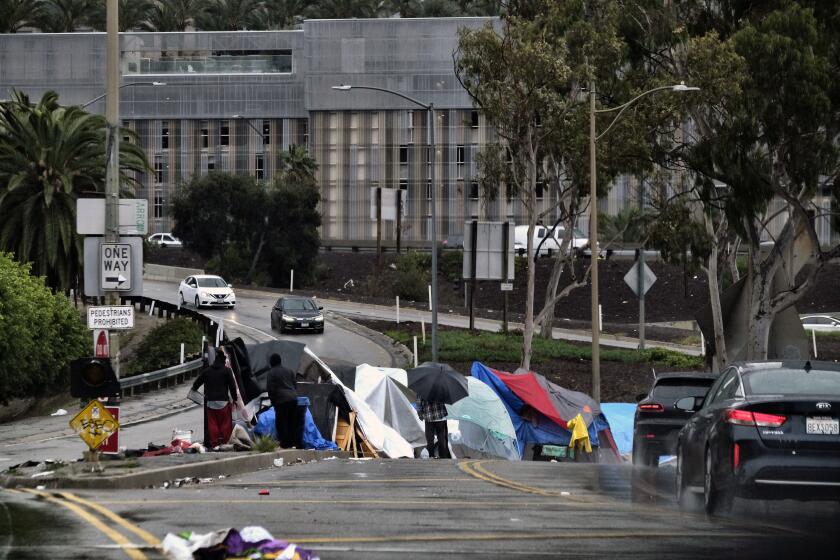 Column: L.A. homeless crisis grows despite political promises, many  speeches and millions of dollars. How do we fix this? - Los Angeles Times