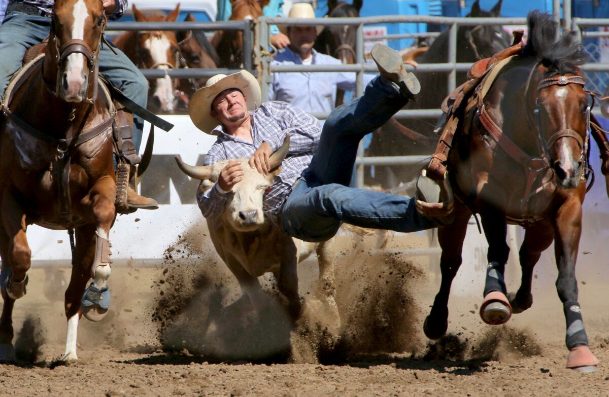 A man in a cowboy hat grabs a calf as he jumps off his horse.