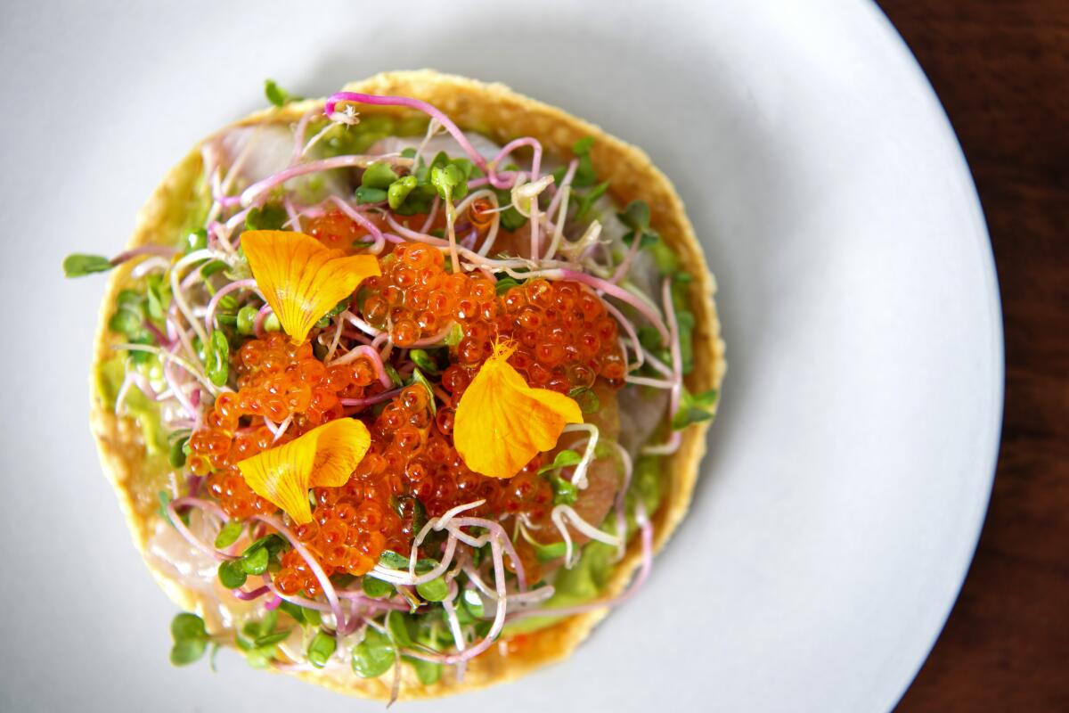 Hawaiian kanpachi tostada