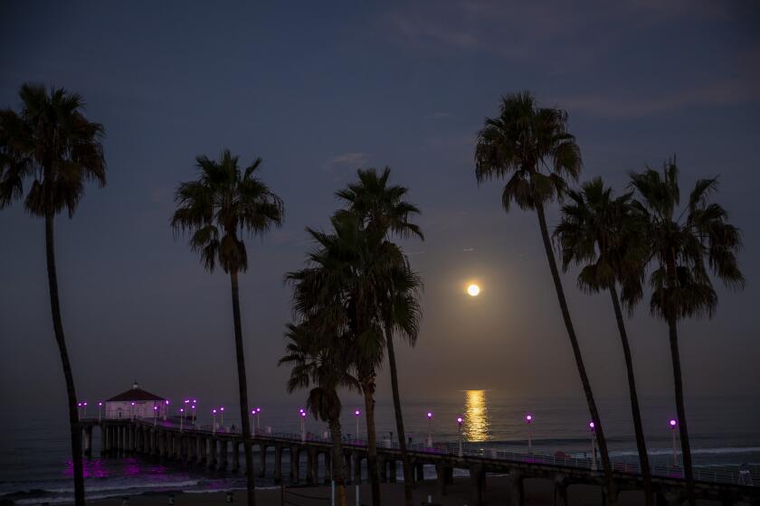 Manhattan Beach, CA - October 20: A pre-dawn surfer is seen with the setting Hunter's full moon, behind the Manhattan Beach Pier, in Manhattan Beach, CA, Manhattan Beach Pier, Wednesday, Oct. 20, 2021. (Jay L. Clendenin / Los Angeles Times)