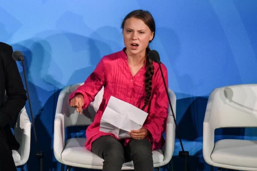 Greta Thunberg, su imagen de inocencia, juventud y preocupación por las futuras generaciones para frenar el calentamiento global se hizo icónica en Europa y internacional.