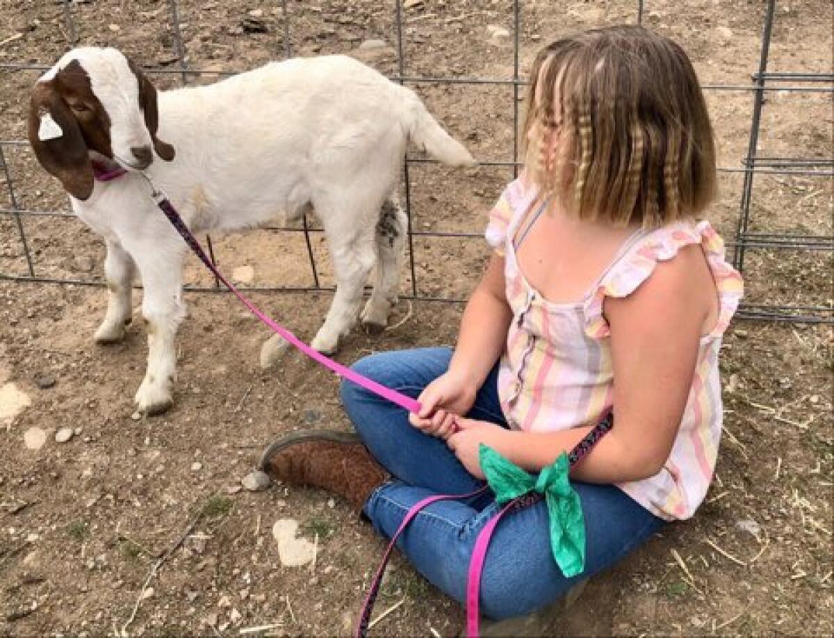 A girl in jeans and boots sits holding a small goat on a leash.