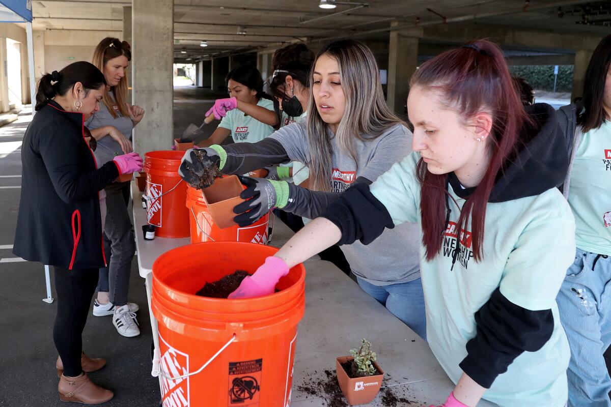 Michelle Ordonez, second from right, and Alexa Hupalo, 18, far right, grab soil as they each pot a succulent plant.
