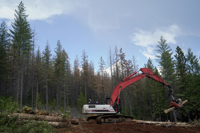 Logging Fire Rescue Why private logging land is more prone to severe fire than public lands ...