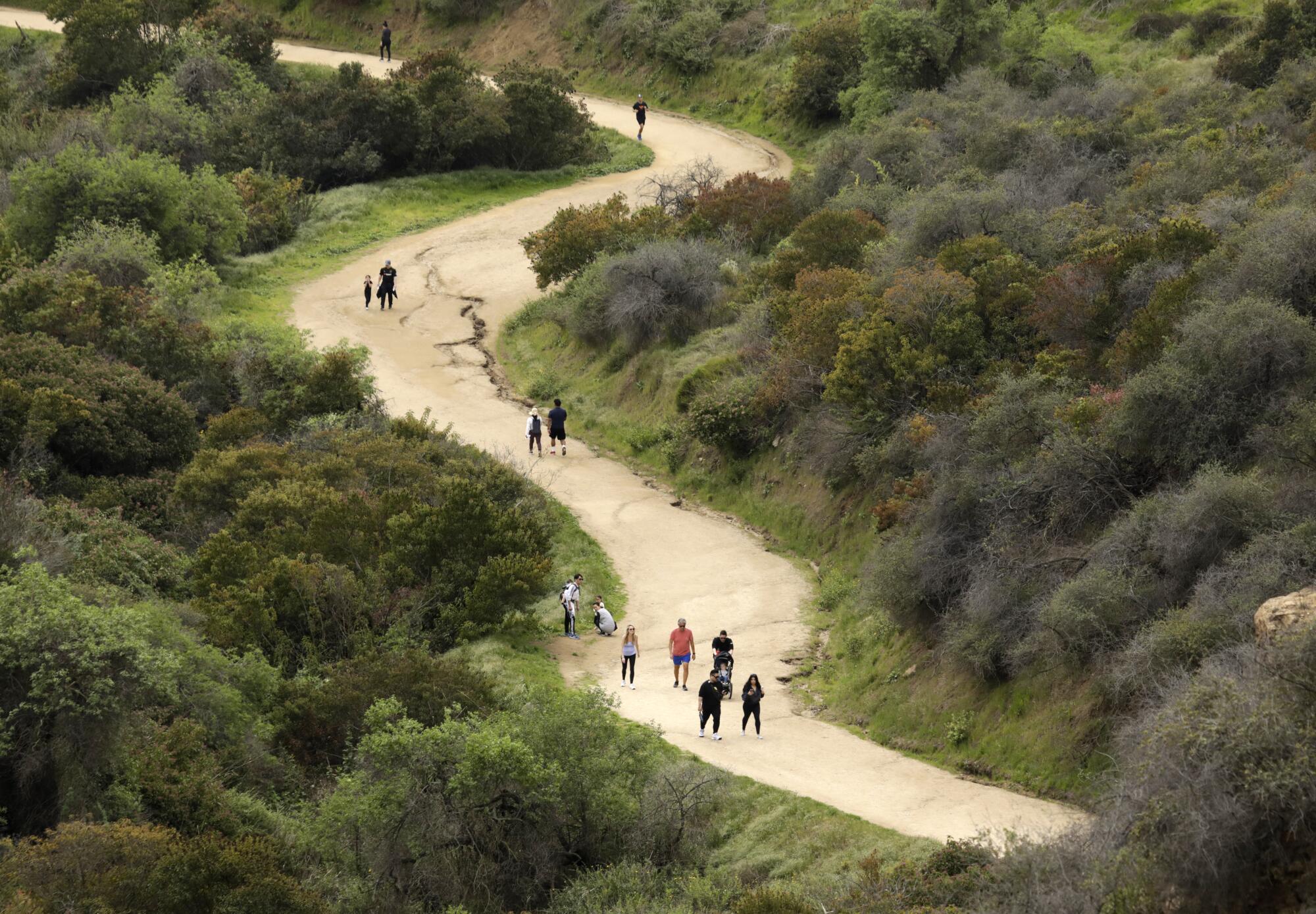 People on a Griffith Park trail, some spread out and some clustered together.