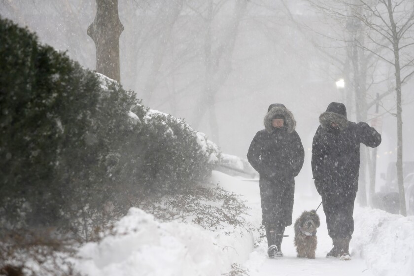 Two people in parkas and boots walk a dog on a snowy, dark day.