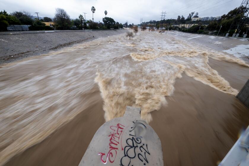 Los Angeles, CA - February 05: The Los Angeles River carries stormwater flow during a rainstorm near Atwater Village on Monday, Feb. 5, 2024 in Los Angeles, CA. (Ringo Chiu / For The Times)