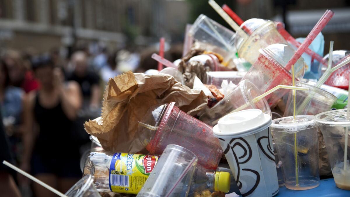 Glass Drinking Straw-Planet Saving Goods