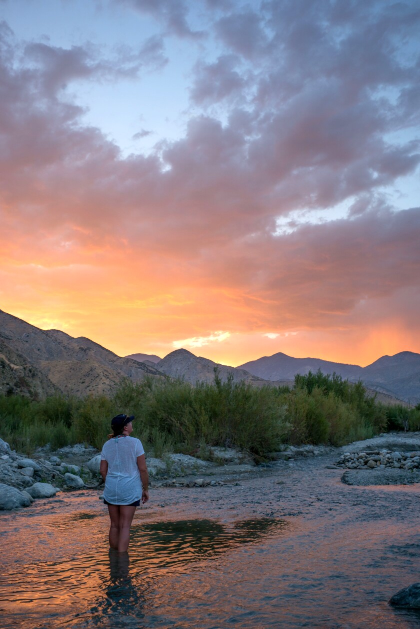 Whitewater Preserve is about a half-hour drive northwest of Palm Springs.