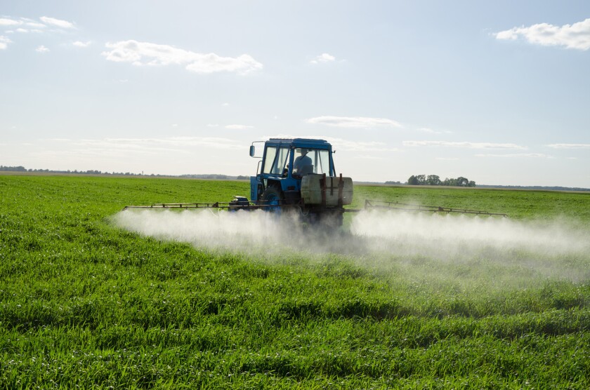 Illegal levels of pesticides that are sprayed on crops continue to show up in about 5.5% of produce tested by the California regulators, according to a study released Wednesday.