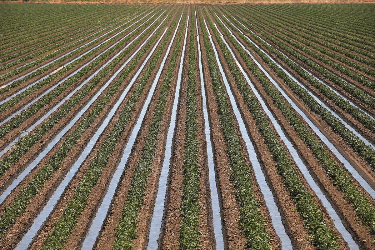 Changes in irrigation accounted for a substantial part of the national decline in water use.