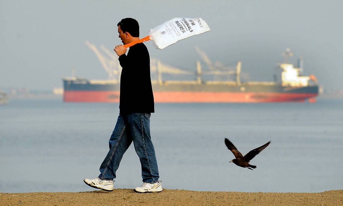 Since the strike began, a number of cargo ships have sat anchored outside the L.A. and Long Beach ports, waiting for a resolution to the labor dispute. Above, a picketer is shown Tuesday at the Port of Los Angeles.