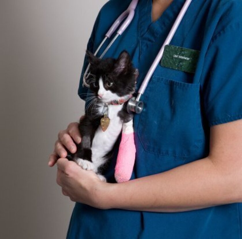 We are a veterinary clinic that accepts insurance.