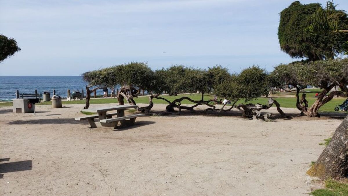 This picnic area inside Scripps Park will become a picnic grove.
