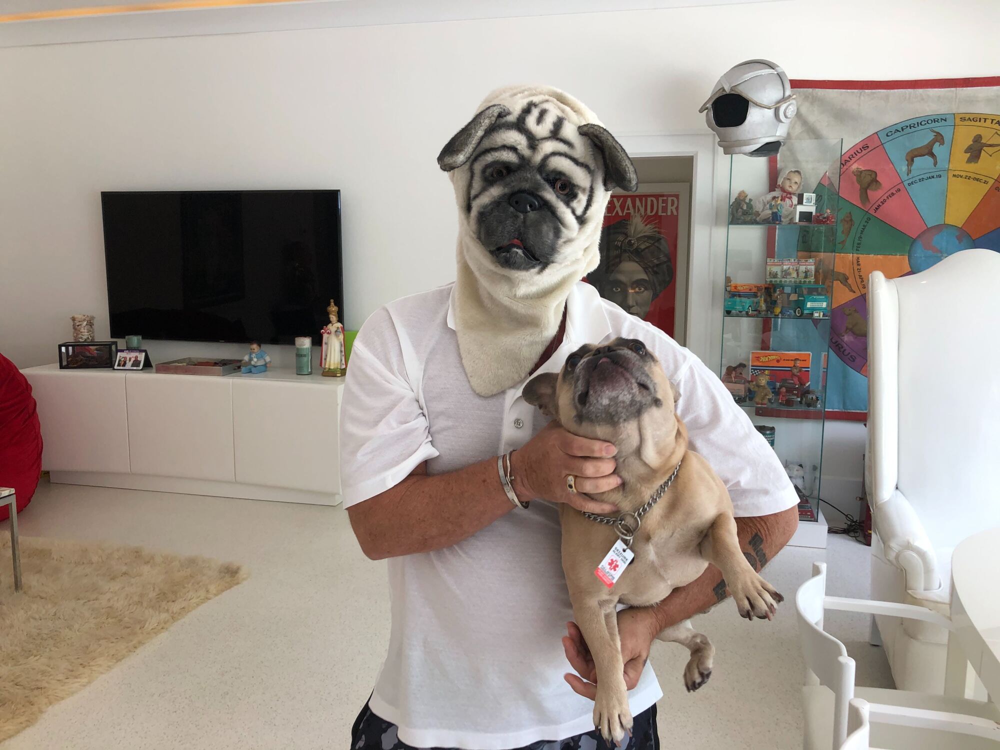 George Buff wears a pug mask and holds his bulldog at home in Palm Beach.
