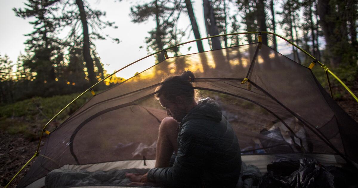 Tell us: What's your California wilderness survival story?