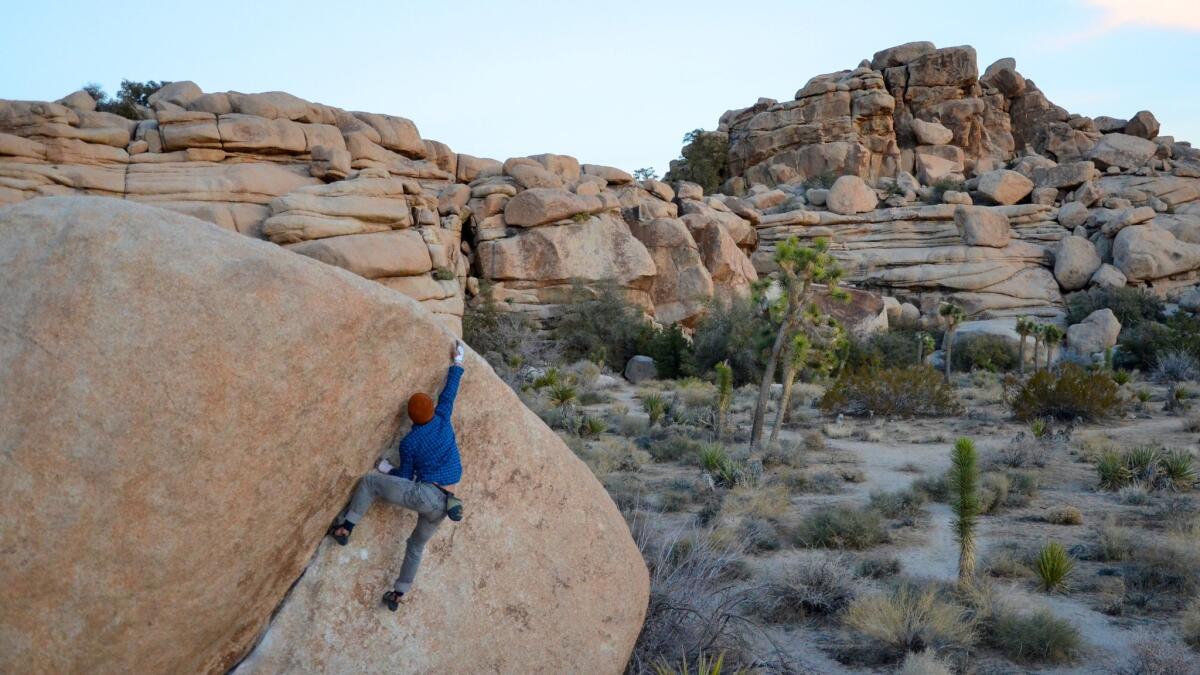 Bouldering opportunities abound along the Barker Dam Nature Trail in Joshua Tree National Park.