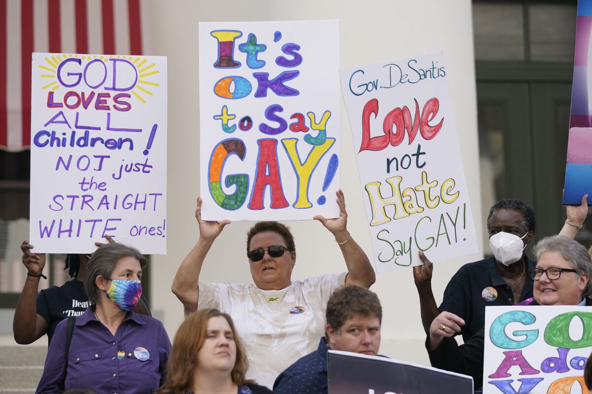 Demonstrators with signs such as "It's OK to say gay!"