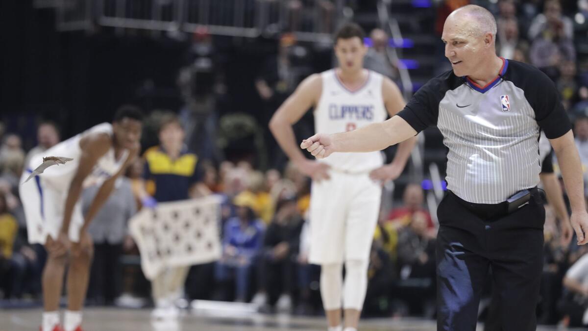 Referee Ron Garretson reacts as a bat flies around the court during a game between the Indiana Pacers and the Clippers on Feb. 7 in Indianapolis.