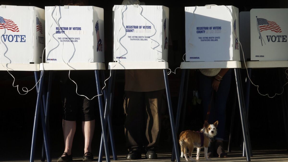 A dog rests beneath a row of voting booths in a Los Angeles County election.