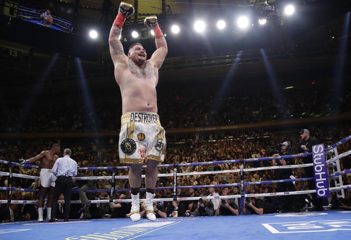 Andy Ruiz festeja tras noquear a Anthony Joshua en el séptimo asalto de la pelea de título mundial peso pesado, el sábado 1 de junio de 2019, en Nueva York.