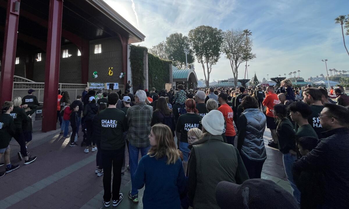 Employees of Newport Beach-based PIMCO assembled Saturday in a "Share the Harvest" event at the O.C. fairgrounds.