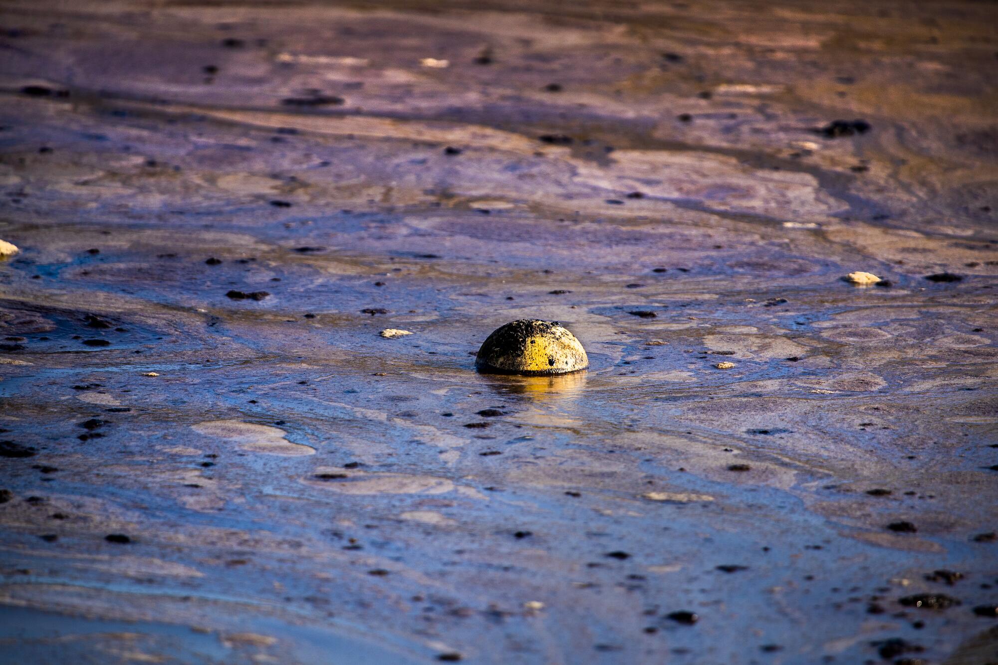 A ball floats amid oil that formed into globules, foam and sheen in the water