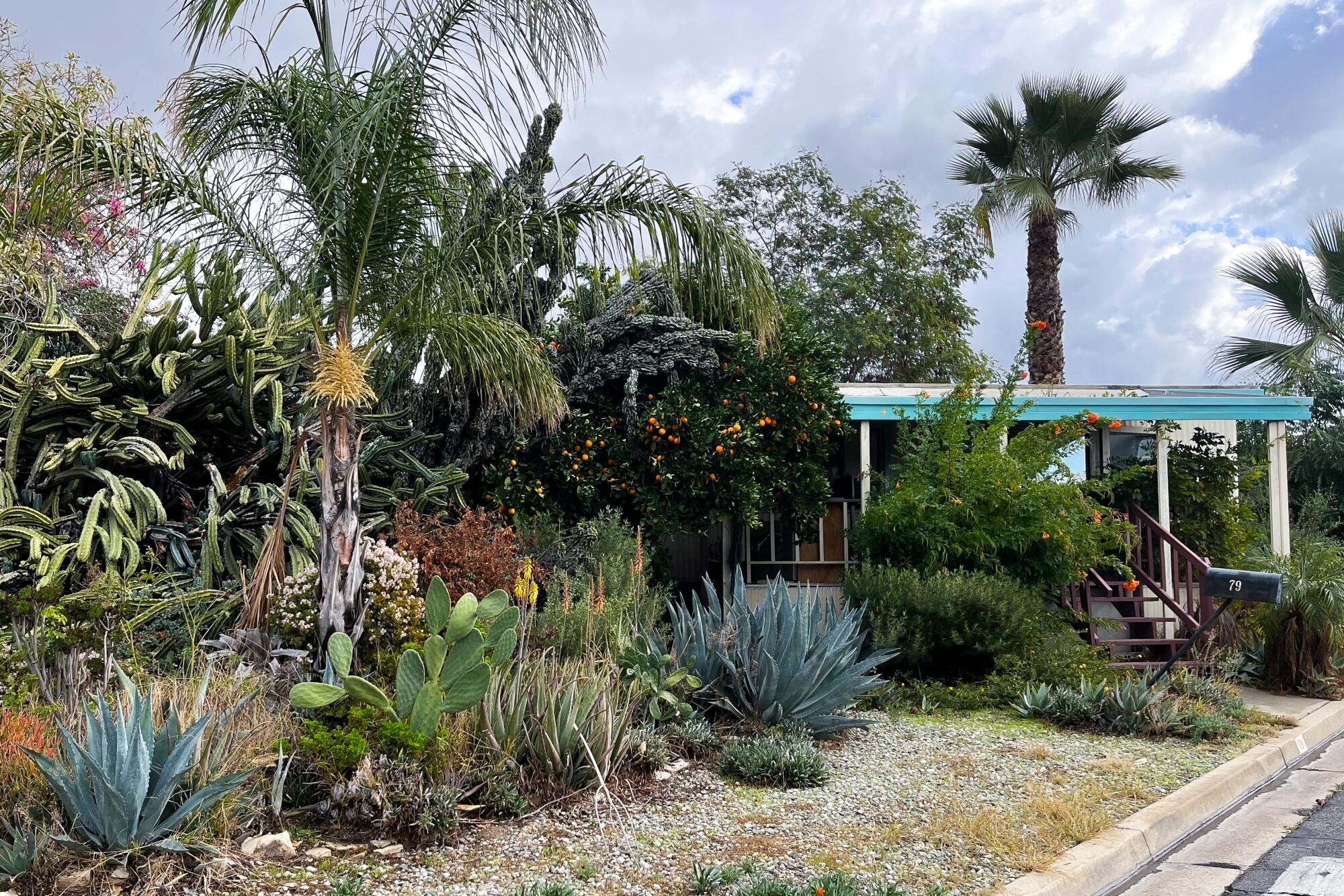 A mobile home is screened by palms and other low-water plants